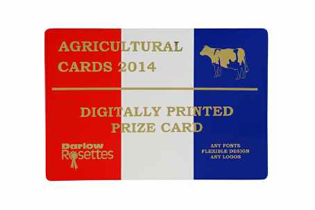 Prize Card