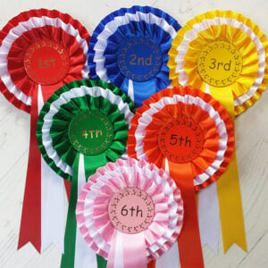 Clear Round Rosettes 50 x 1 Tier  mixed colours 