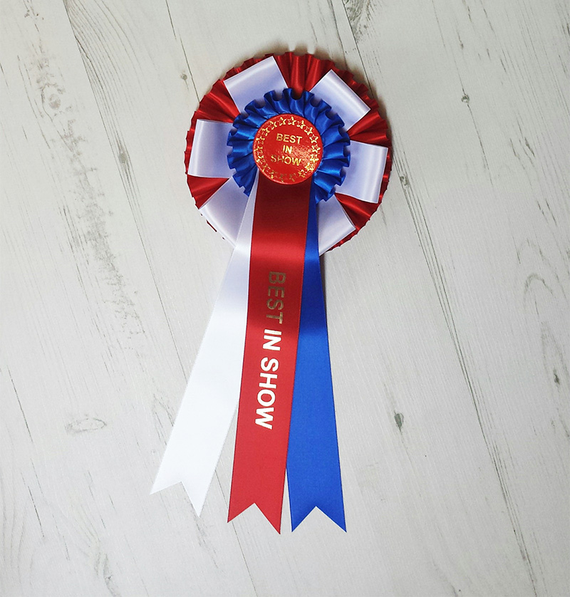 Best In Show Rosette 4 Tier Red/White/Blue/Red Elizabethan Pleat  *Free Postage* 