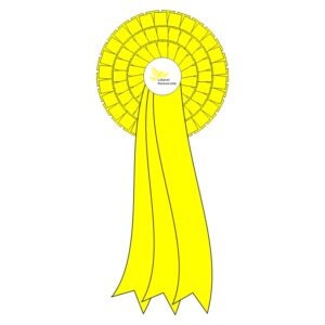 Election night Lib Dems rosette