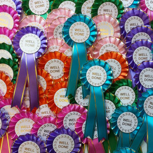 Pack of 30 x Well Done rosettes