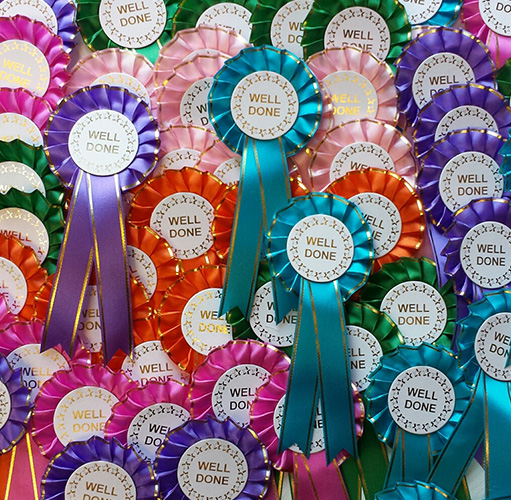 10 x WELL DONE ROSETTES 