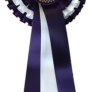 Clearance pack of 14 x 3 tier Special Award rosettes